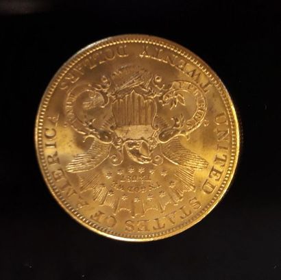 1 monnaie en or: 20 $ US 1904