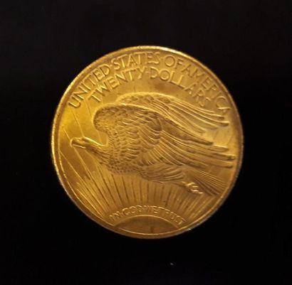 1 monnaie en or: 20 $ US 1924
