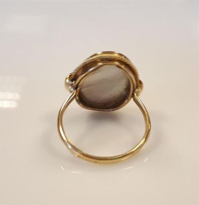 Bague en or sertie d'un camée sur nacre gravé...
