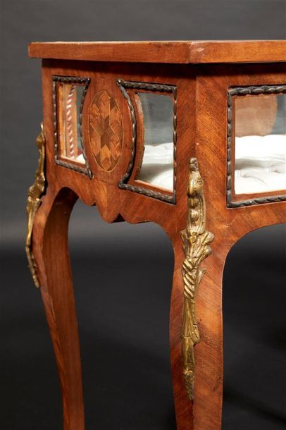 Paire de tables-vitrines de présentation...