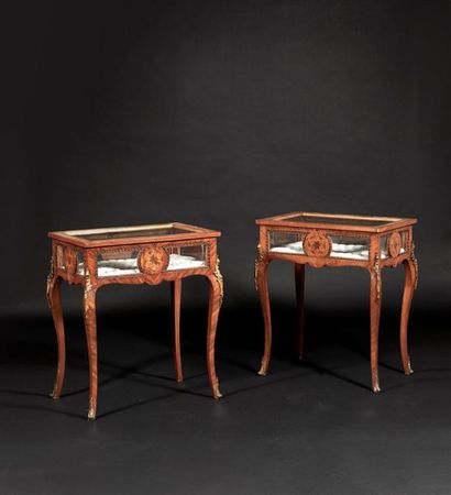 Paire de tables-vitrines de présentation...