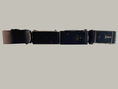 Set of eight various bellows cameras, as-is...