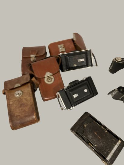 A set of eight various bellows cameras, as-is,...
