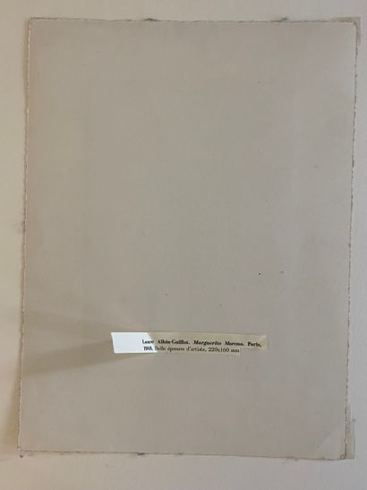 Set of three photographs. A print attributed...