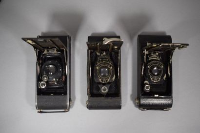 Cameras. Set of fourteen bellows cameras...