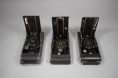 Cameras. Set of fourteen bellows cameras...