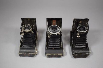 Cameras. Set of fourteen bellows cameras...