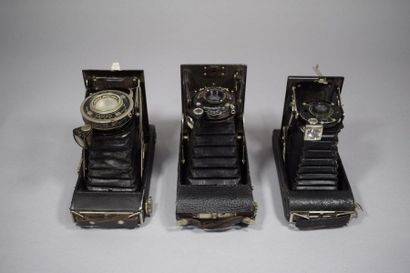 Cameras. Set of fourteen bellows cameras...