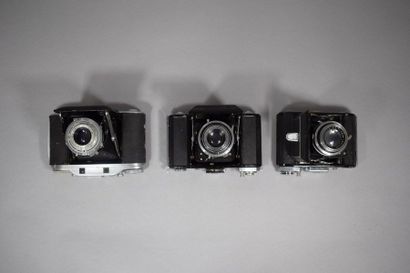 Cameras. Set of fourteen bellows cameras...
