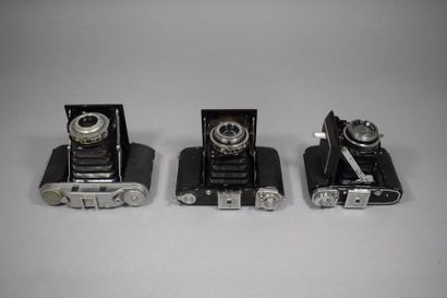 Cameras. Set of fourteen bellows cameras...