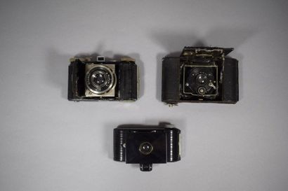Cameras. Set of fourteen bellows cameras...
