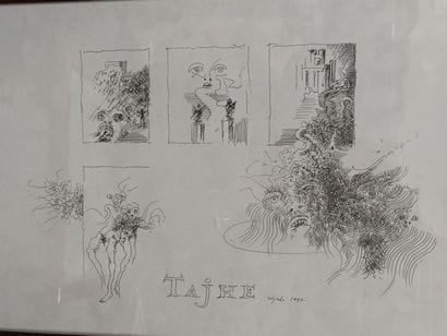 LJUBA, 1934-2016 

TAJHNE (les secrets),...
