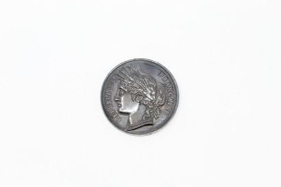 Médaille en argent 

A l'avers : profil gauche...