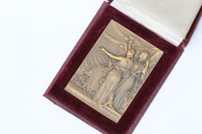 Médaille de table en bronze souvenir du banquet...