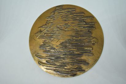 ARTHUS BERTRAND

Grande médaille en bronze...