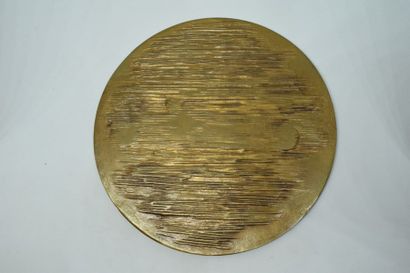 ARTHUS BERTRAND

Grande médaille en bronze...