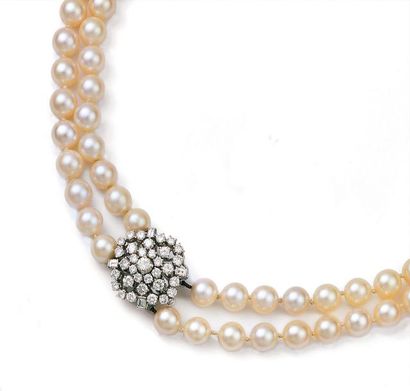 Collier double rang de perles de culture...