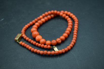 Collier de perles de corail en chute, le...