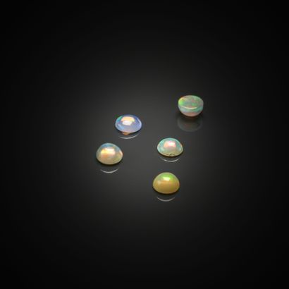 Lot de cinq opales rondes cabochons sur papier.
Poids...