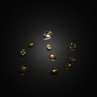 Lot de dix tourmalines sur papier. 
Couleurs...