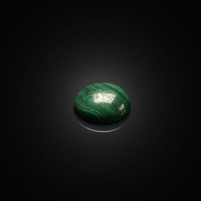 Malachite ronde cabochon sur papier. 
Poids...