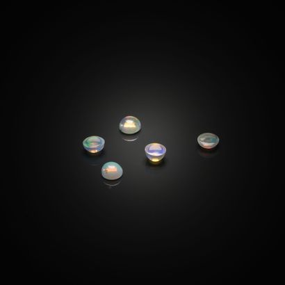 Lot de cinq opales rondes cabochons sur papier.
Poids...