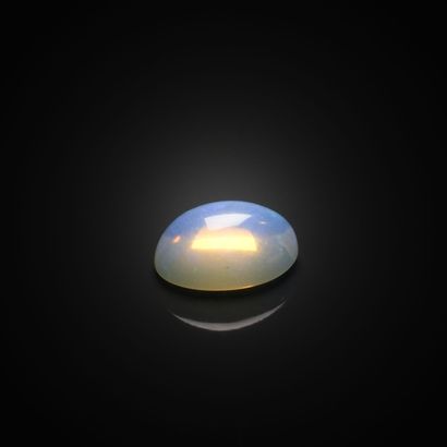 Opale ovale cabochon sur papier. 
Poids :...