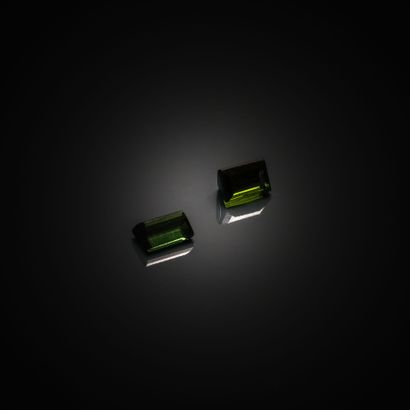 Appairage de tourmalines vertes rectangulaires...