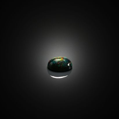 Opale noire ovale cabochon sur papier.
Poids...
