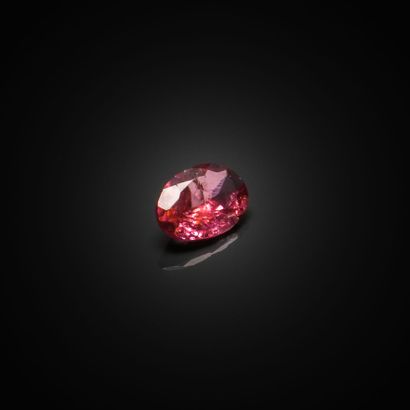 Tourmaline rose ovale sur papier. 
Poids...
