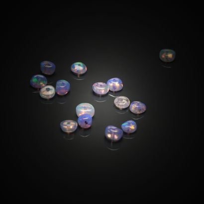Lot d'opales violettes (light) percées sur...