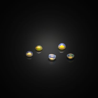 Lot d'opales rondes cabochons sur papier.
Poids...