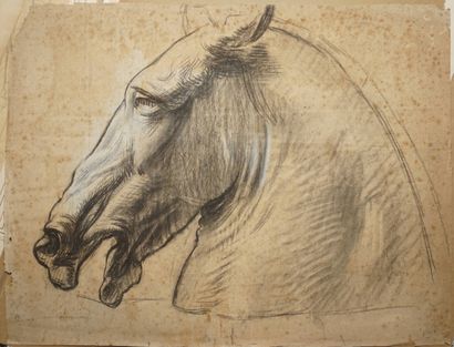 BESNARD Albert, 1849-1934, 
Tête de cheval,...