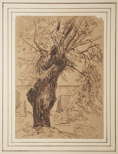 CASSAGNE Armand Théophile, 1823-1907,
Arbuste...