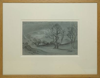 DAMOUR Charles, 1813-1860, 
Plaine aux arbres,...