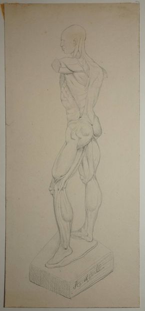 APOIL Alexis, 1809-1864, 
Statue d'écorché,...