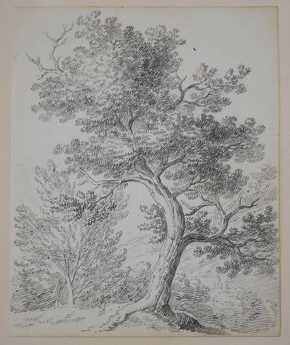 CONSTANTIN Jean-Antoine, dit Constantin d'Aix...