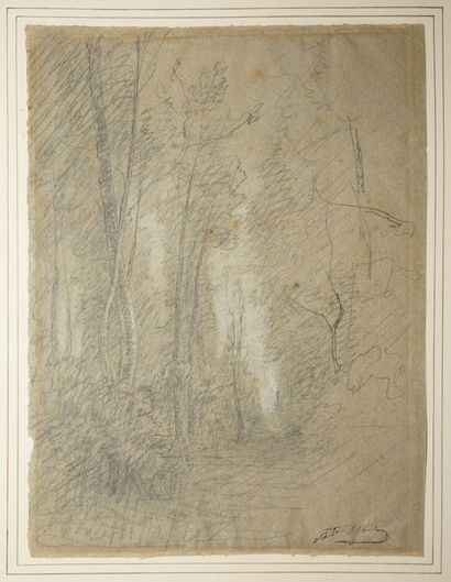 RAVIER François Auguste, 1814-1895, 
Sous-bois,...