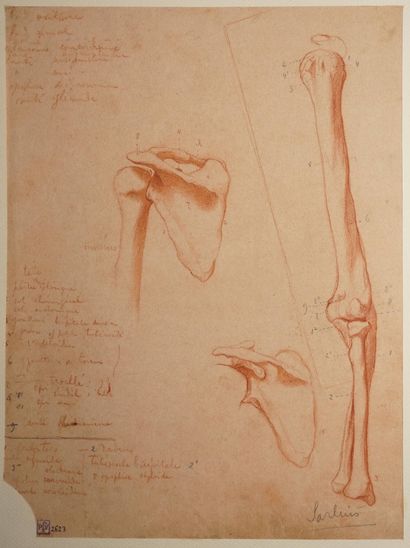 POINT Armand, 1860-1932, 
Études de figures...