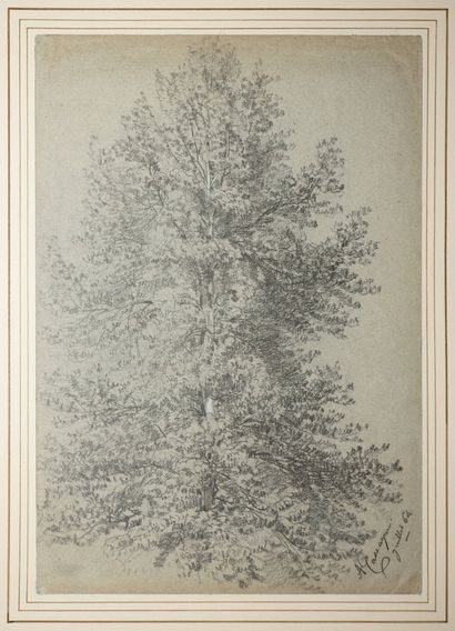 CASSAGNE Armand Théophile, 1823-1907,
Arbuste...