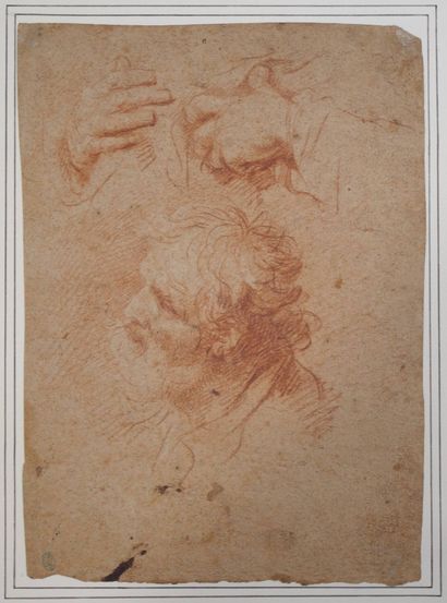 Attribué à IMPERIALI, Francesco (1679-1740)
Tête...