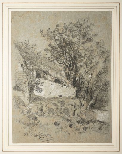 CASSAGNE Armand Théophile, 1823-1907,
Arbuste...