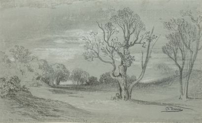 DAMOUR Charles, 1813-1860, 
Plaine aux arbres,...
