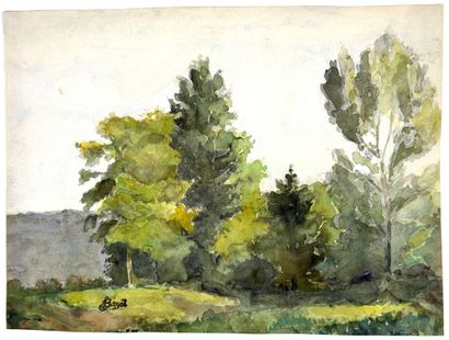 HAYET Louis, 1864-1940, 
Clairière aux grands...