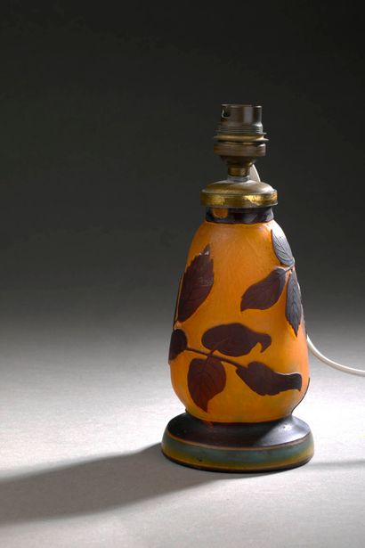 MULLER FRERES – LUNEVILLE 
	Vase postérieurement...