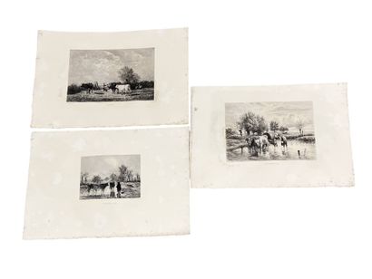 TROYON Constant, d'après 
Lot de gravures...