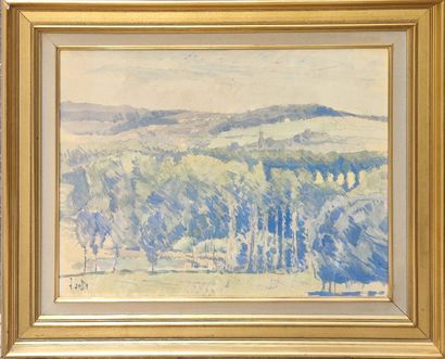 LAMBIN Robert (né en 1928)
La vallée de la...