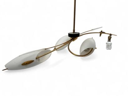 Ensemble de luminaires figurant des joncs...