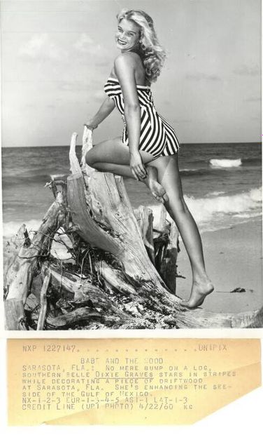 Pin-Up, Miss, actress, woman. Circa 1950-65....