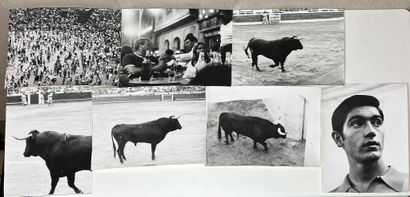 René ROBERT (1936-2022). Set of fifteen vintage...
